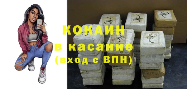 индика Аркадак