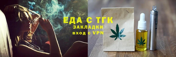 индика Аркадак