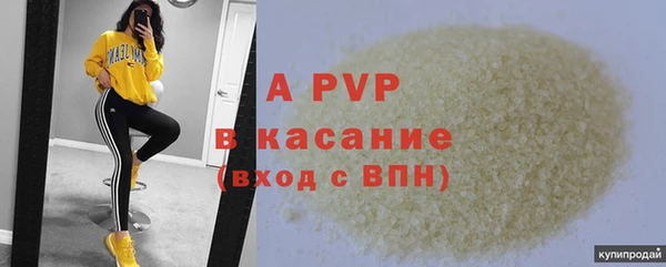 индика Аркадак