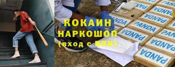 индика Аркадак