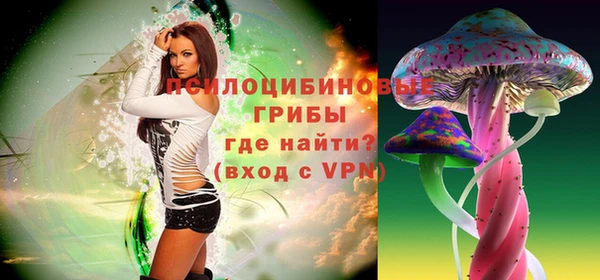 индика Аркадак