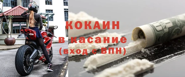 индика Аркадак