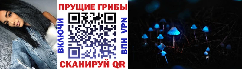 закладки  Балабаново  Галлюциногенные грибы мухоморы 