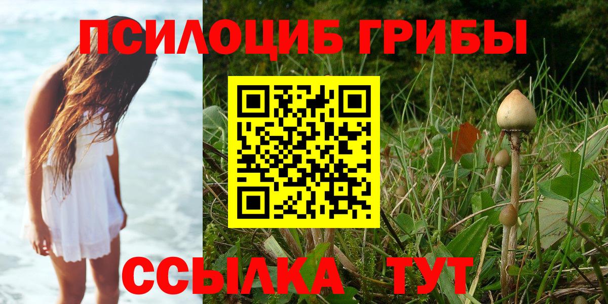 Галлюциногенные грибы Psilocybe  Псилоцибиновые грибы мицелий  Вход с VPN  Балабаново 