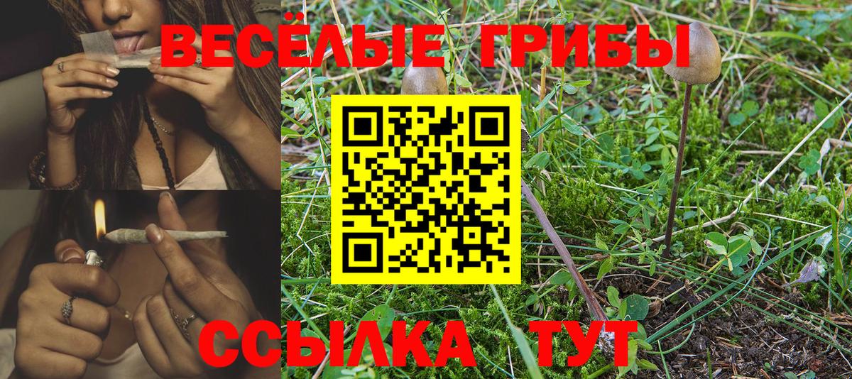 ГАШИШ Балабаново