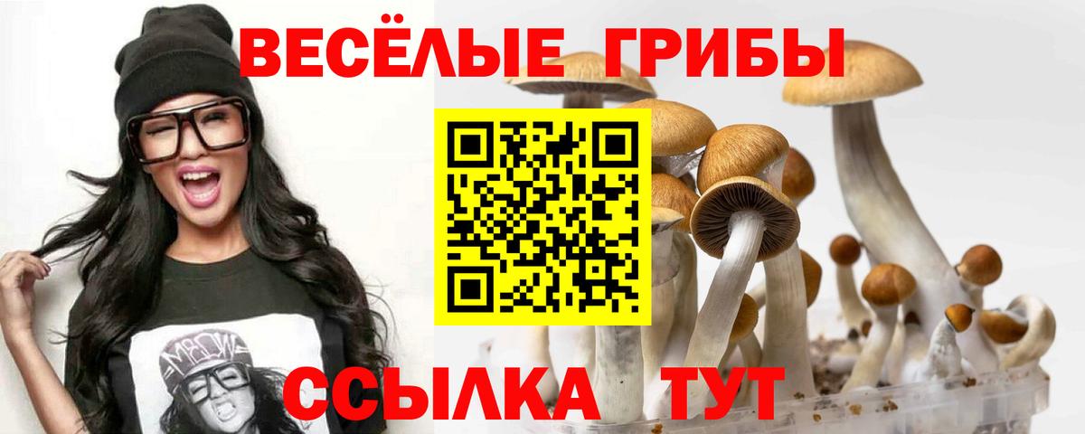 Галлюциногенные грибы мухоморы Балабаново