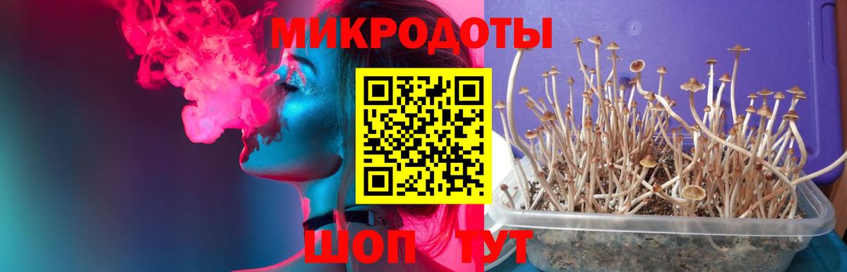 Балабаново  Псилоцибиновые грибы MAGIC MUSHROOMS  Вход с VPN 